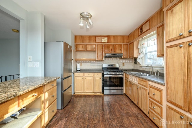 kitchen featuring tasteful backsplash, sink, dark stone counters, stainless steel appliances, and dark wood-type flooring