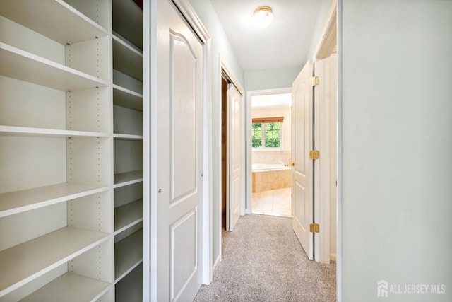 2 Treetops Dr, Monroe, NJ 08831 - photo 32