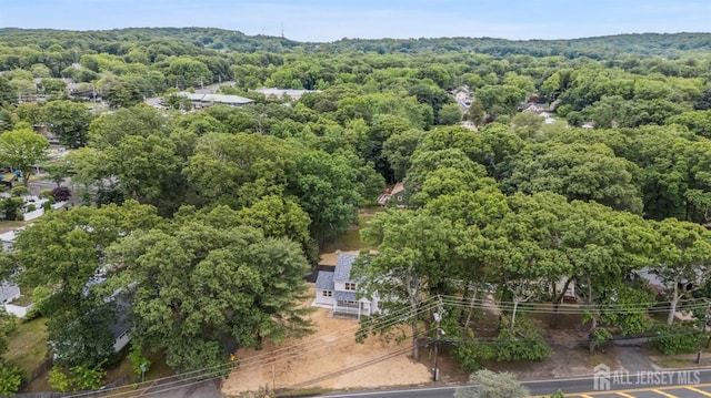 244 Lloyd Rd, Matawan, NJ 07747 - aerial view of a heavily wooded area