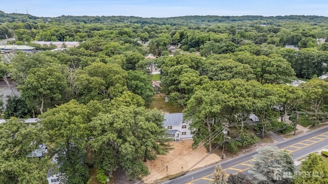 244 Lloyd Rd, Matawan, NJ 07747 - drone / aerial view of a forest