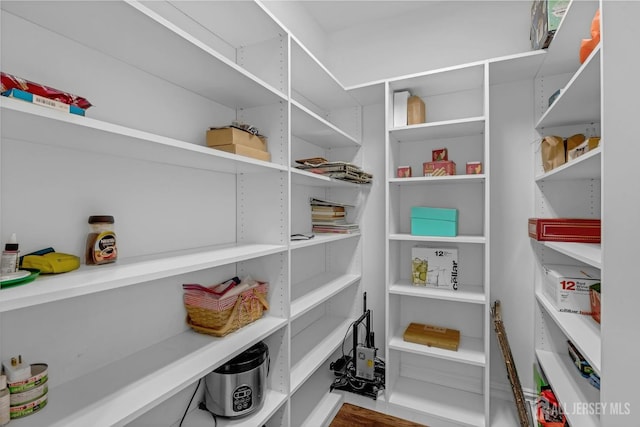view of pantry