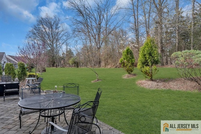 view of yard with a patio area