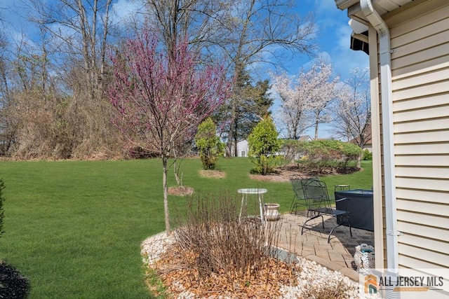 view of yard featuring a patio