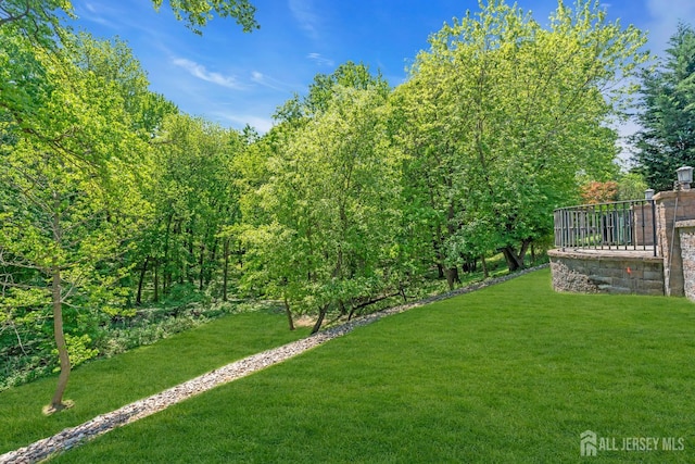 42 Ridge Rd, Edison, NJ 08817 - view of grassy yard