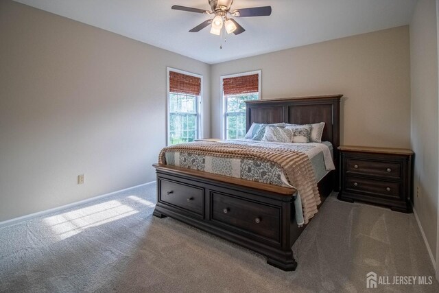 29 Mitchell Dr, Monroe, NJ 08831 - bedroom with carpet floors and ceiling fan