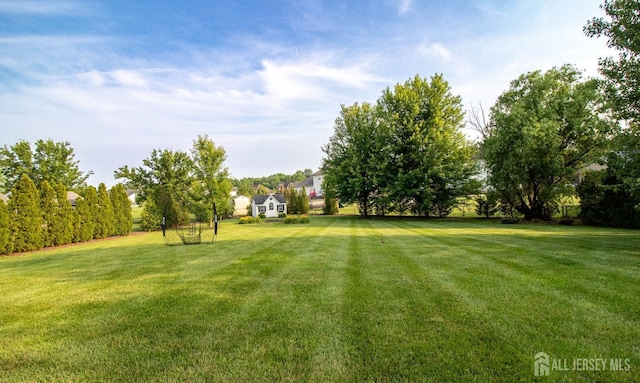 29 Mitchell Dr, Monroe, NJ 08831 - view of grassy yard