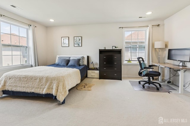 31 Dahlia Ct, Piscataway, NJ 08854 - photo 16