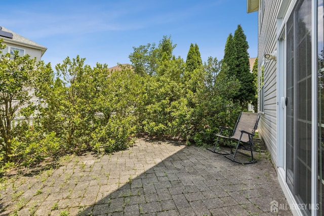31 Dahlia Ct, Piscataway, NJ 08854 - photo 27
