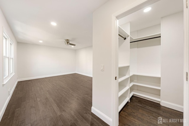 spacious closet featuring ceiling fan and dark hardwood / wood-style flooring