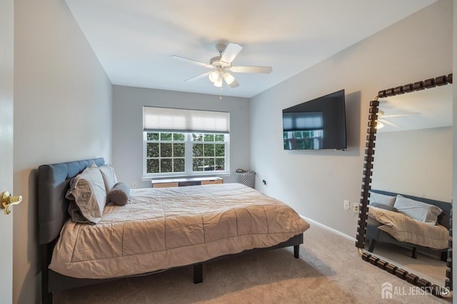6 Amherst Ct NW, North Brunswick, NJ 08902 - photo 19