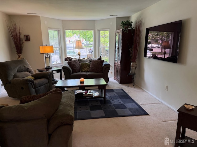 362 Minstrel Ct Unit 362, Old Bridge, NJ 08857 - living room featuring carpet and plenty of natural light