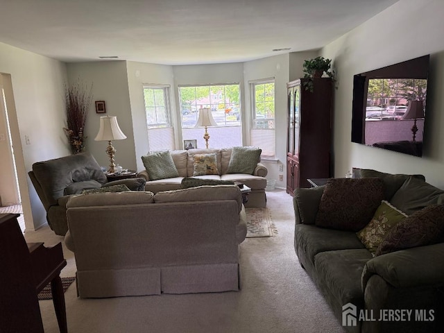 362 Minstrel Ct Unit 362, Old Bridge, NJ 08857 - living area featuring carpet floors