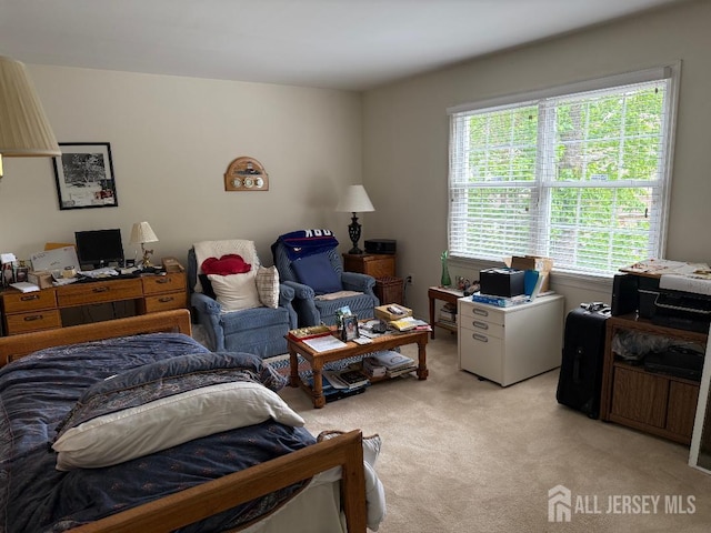 362 Minstrel Ct Unit 362, Old Bridge, NJ 08857 - bedroom with light carpet