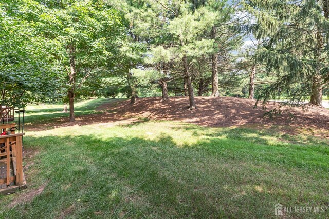 183 Driscoll Ct, Franklin Twsp, NJ 08873 - view of grassy yard
