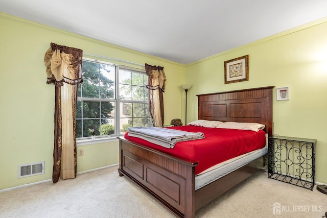 183 Driscoll Ct, Franklin Twsp, NJ 08873 - bedroom with carpet flooring and crown molding