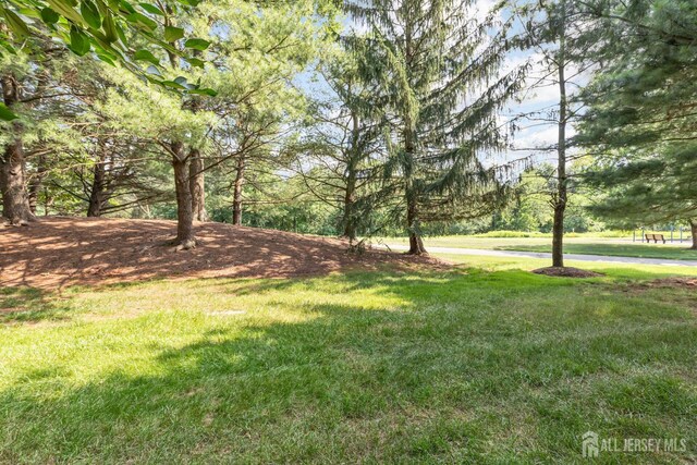 183 Driscoll Ct, Franklin Twsp, NJ 08873 - view of green lawn