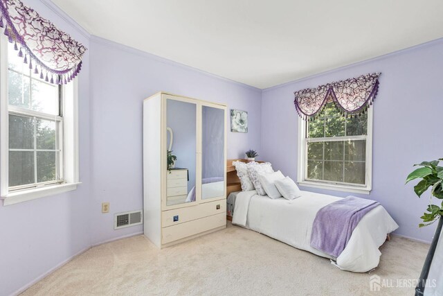 183 Driscoll Ct, Franklin Twsp, NJ 08873 - carpeted bedroom featuring crown molding