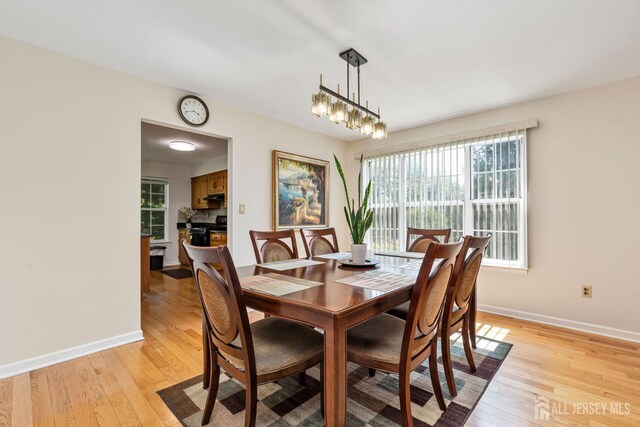 183 Driscoll Ct, Franklin Twsp, NJ 08873 - dining area featuring light wood finished floors and plenty of natural light