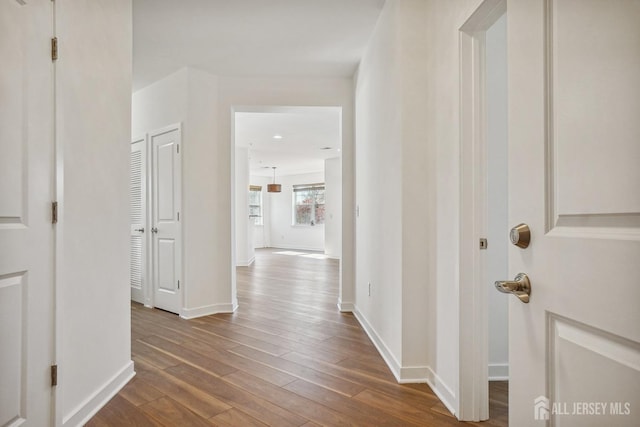 corridor with wood-type flooring