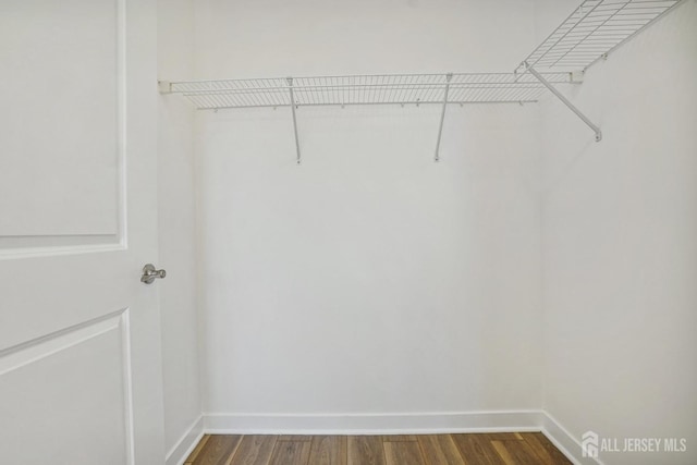 spacious closet featuring dark hardwood / wood-style floors