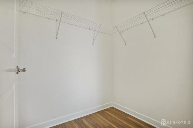 walk in closet featuring dark wood-type flooring