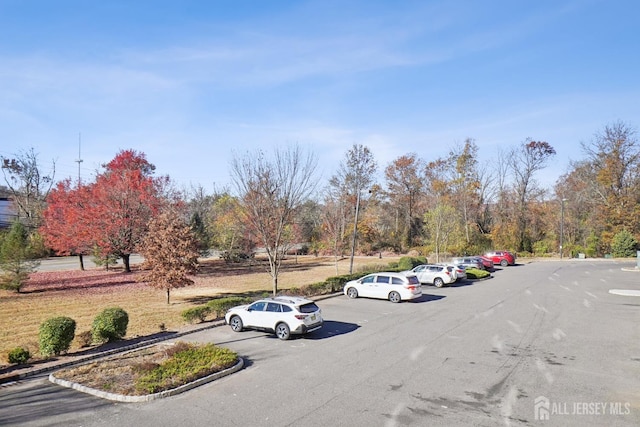 view of vehicle parking