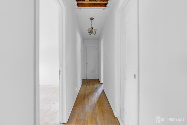 1595 Amwell Rd, Franklin Twsp, NJ 08873 - hallway with light wood-style floors