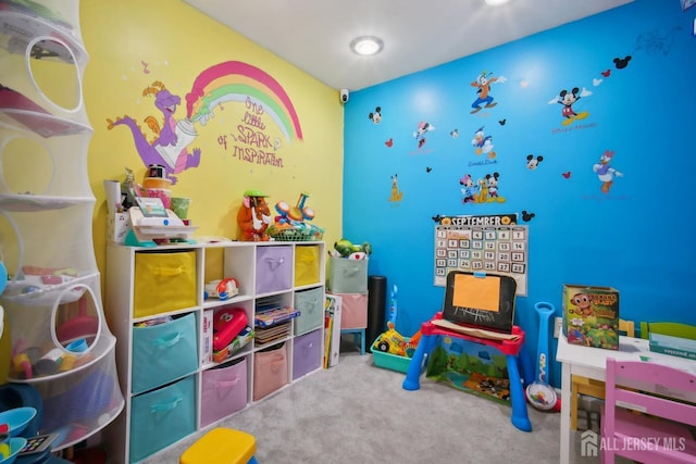 51 Greenbrook Rd, Middlesex, NJ 08846 - playroom with carpet