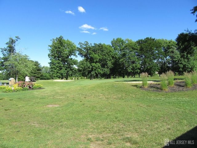 view of green lawn with view of wooded area