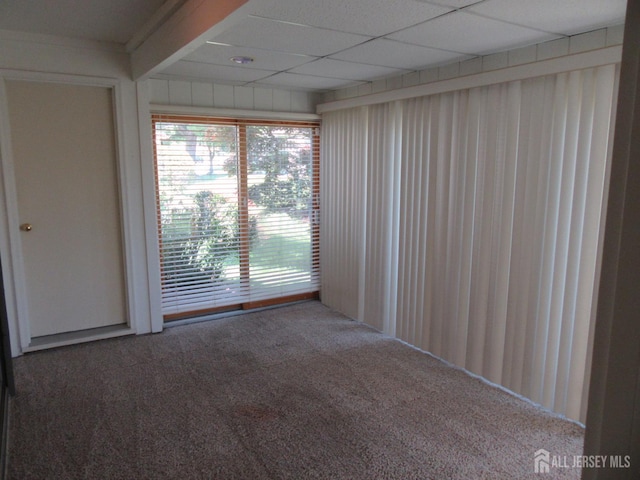 unfurnished room with carpet flooring