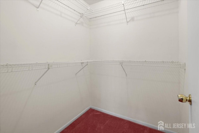 walk in closet with dark colored carpet