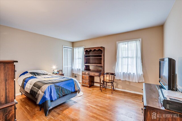 4 Bodnarik Rd, Edison, NJ 08837 - bedroom with light wood finished floors and a closet