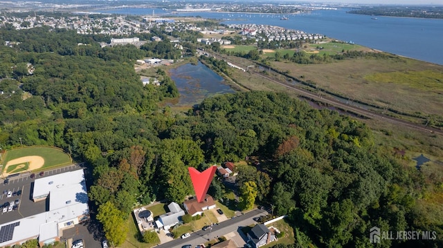 bird's eye view featuring a water view