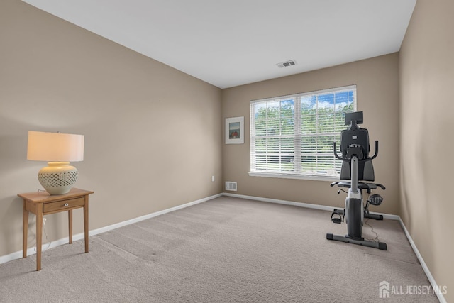 workout area featuring baseboards and carpet flooring