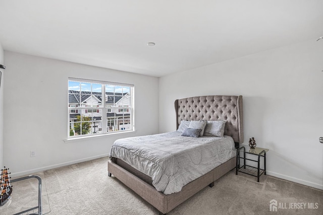 18 Larkspur Ln, Monroe, NJ 08831 - bedroom with carpet flooring and baseboards