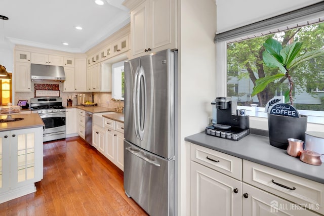 369 N Main St, Milltown, NJ 08850 - kitchen with appliances with stainless steel finishes, under cabinet range hood, light wood-style flooring, decorative backsplash, and glass insert cabinets