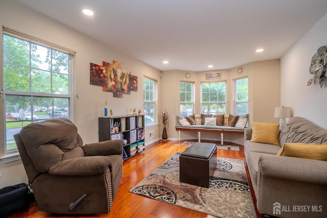 108 Jared Dr, North Brunswick, NJ 08902 - living room featuring wood finished floors and recessed lighting