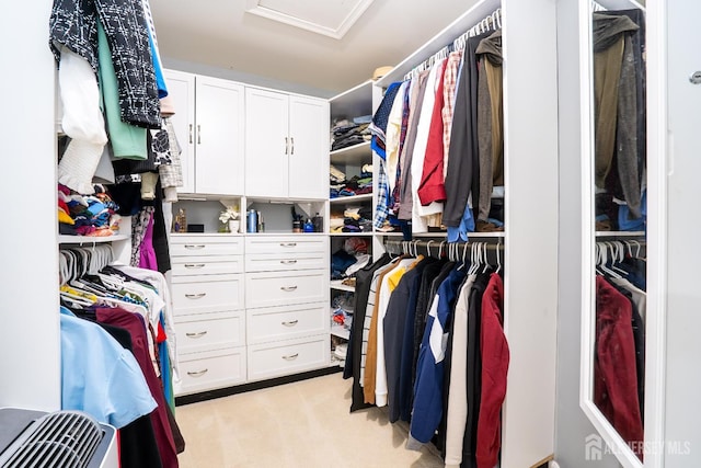 108 Jared Dr, North Brunswick, NJ 08902 - spacious closet with attic access and light colored carpet