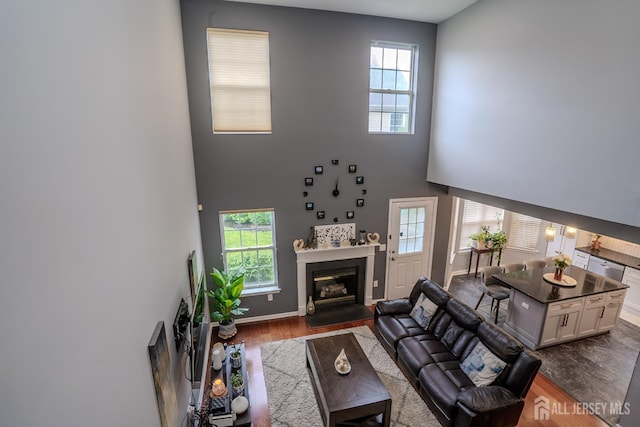 108 Jared Dr, North Brunswick, NJ 08902 - living room with dark wood-type flooring, a towering ceiling, and a glass covered fireplace