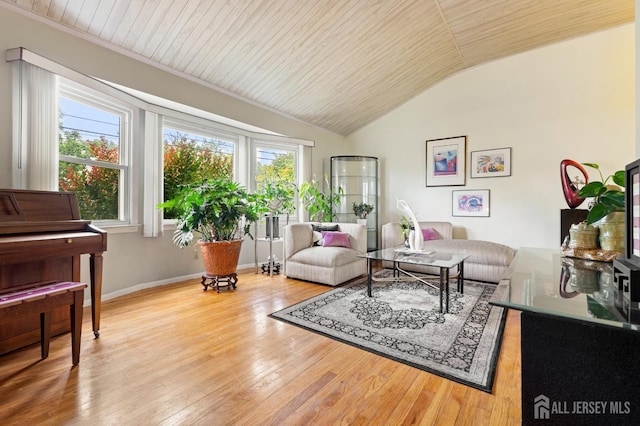 10 Denman Dr, Fords, NJ 08863 - living area with lofted ceiling, wood finished floors, and wooden ceiling