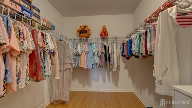 741-B Nautilus Ct Unit B, Monroe, NJ 08831 - walk in closet featuring wood finished floors