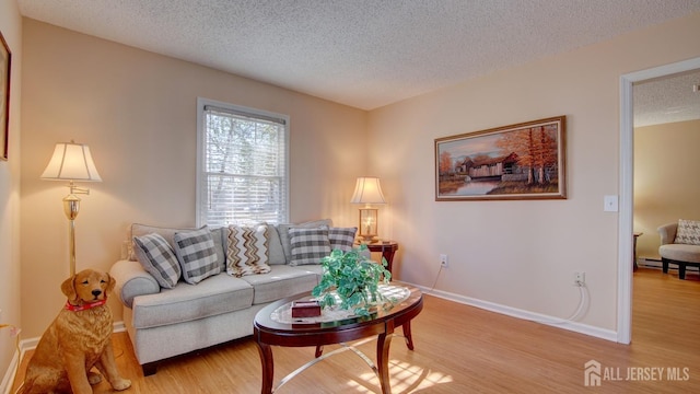 741-B Nautilus Ct Unit B, Monroe, NJ 08831 - living room with a textured ceiling, light wood-type flooring, and baseboards