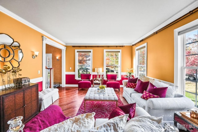 living room with crown molding and hardwood / wood-style floors