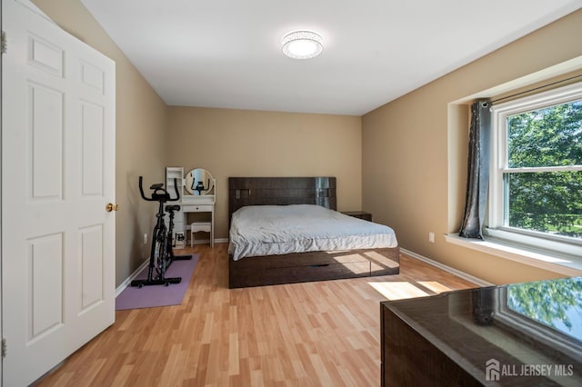 58 La Rue Ln, East Brunswick, NJ 08816 - bedroom featuring light wood-style flooring and baseboards