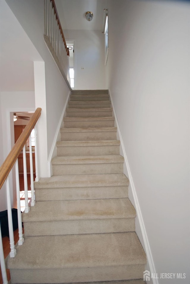 319 Fairview Ave, Middlesex, NJ 08846 - photo 12