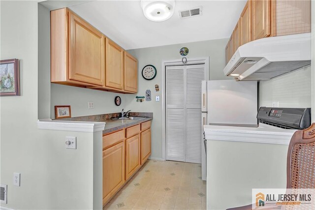 kitchen featuring visible vents, freestanding refrigerator, ventilation hood, light brown cabinetry, and a sink