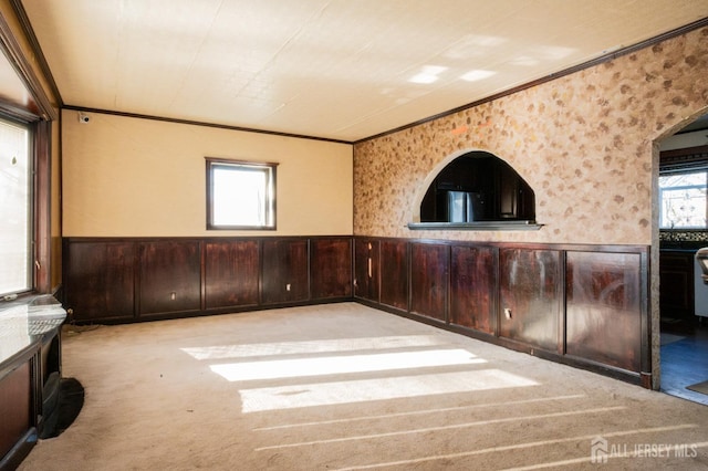 carpeted empty room featuring wainscoting, wood walls, and crown molding