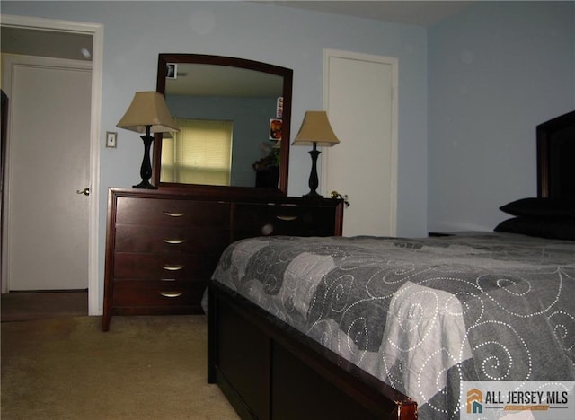 903 N Oaks Blvd, North Brunswick, NJ 08902 - view of carpeted bedroom