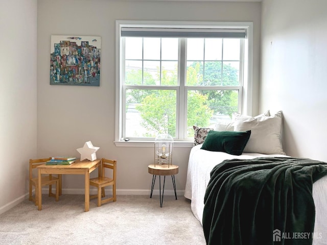 247 Cleveland Ave, Highland Park, NJ 08904 - photo 22
