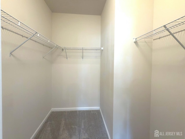 247 Cleveland Ave, Highland Park, NJ 08904 - photo 19